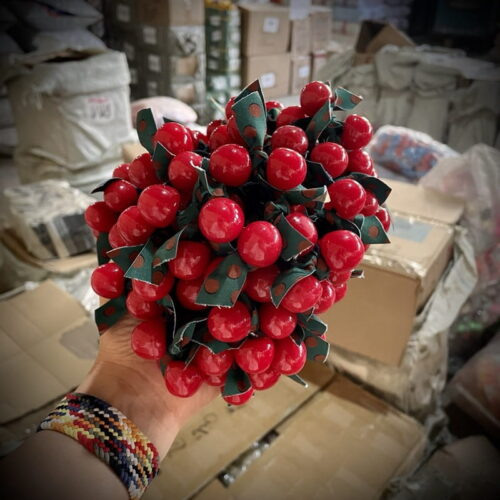 کش مو گیلاسی در انبار شرکت هدهد