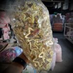 کاور محصول گیره تق تقی ستاره لاکی