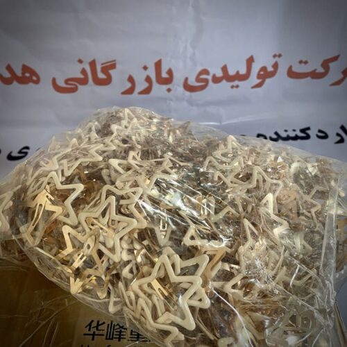گیره تق تقی ستاره هدهد