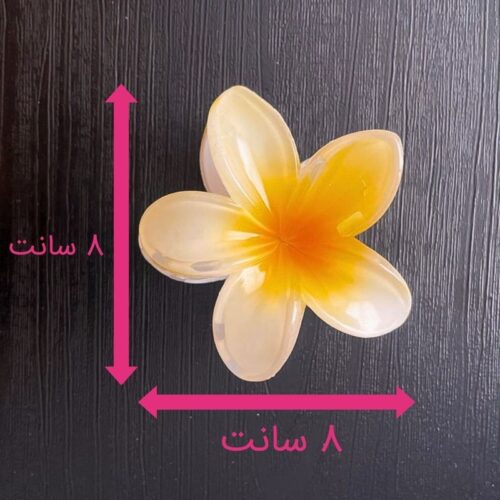 ابعاد پلومریا 8 سانتی