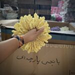 کاور محصول کش مو اسکینی اسکرانچی