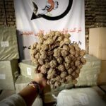 کاور محصول کش مو گره ای