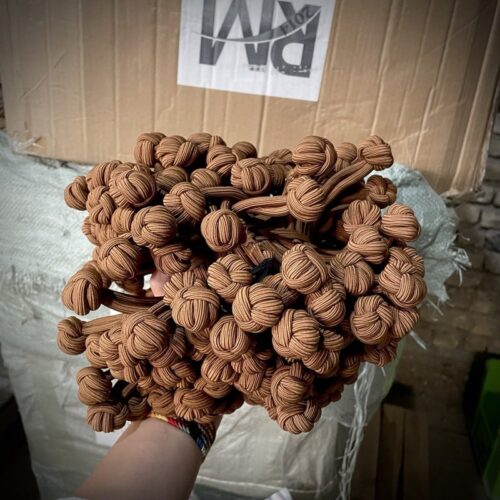 کش مو گره ای شکلاتی