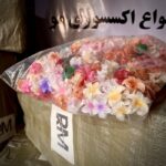 کلیپس پلومریا 4 سانتی