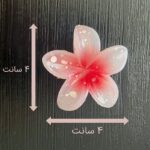 ابعاد پلومریا 4 سانتی