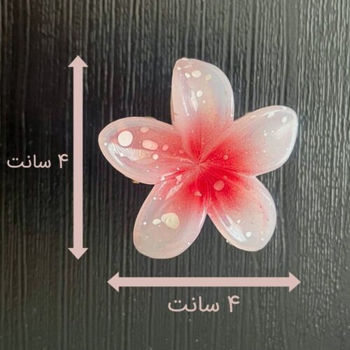 ابعاد پلومریا 4 سانتی