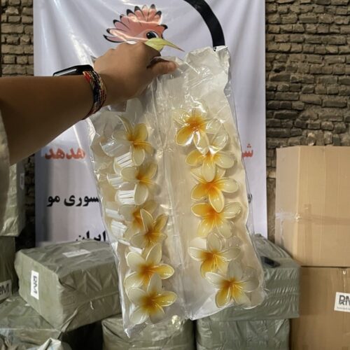 کلیپس پلومریا 8 سانتی در انبار شرکت هدهد
